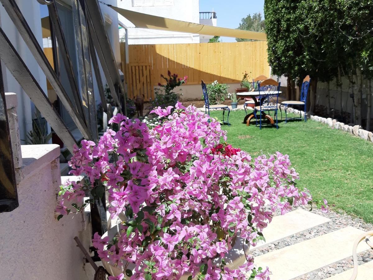 Villa D60 Sharm el-Sheikh Luaran gambar